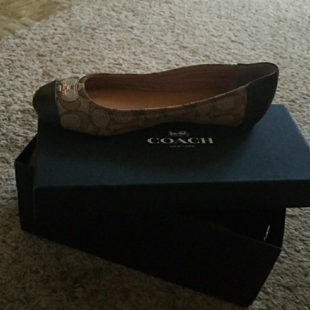 Coach